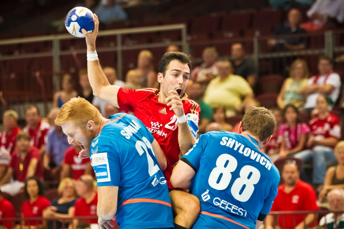 Meshkov Brest - Veszprem